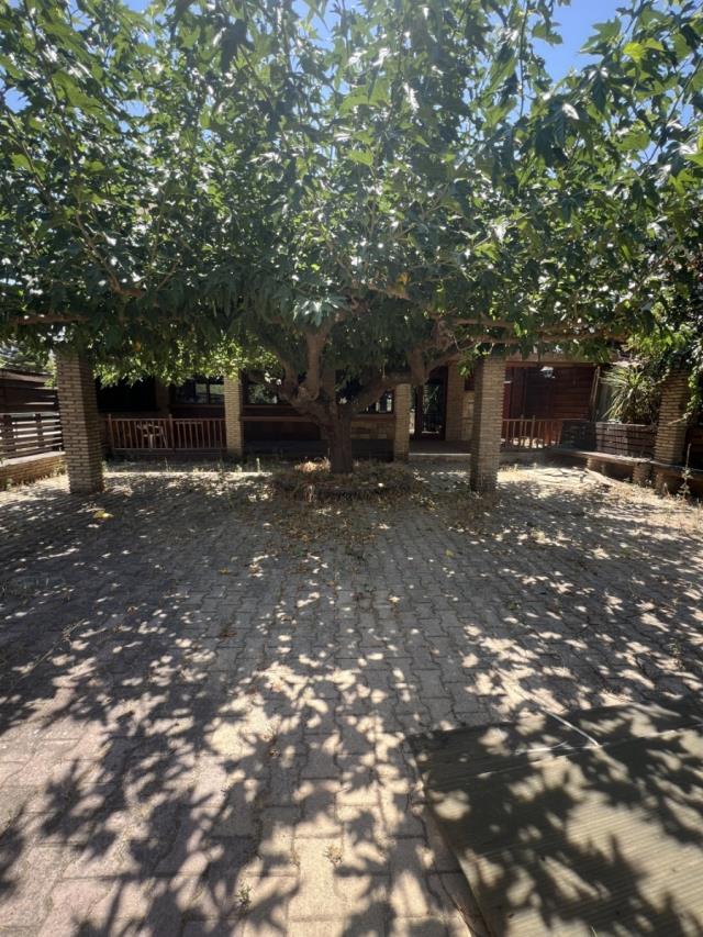 (For Rent) Commercial Retail Shop || East Attica/Rodopoli - 200 Sq.m, 1.650€ 