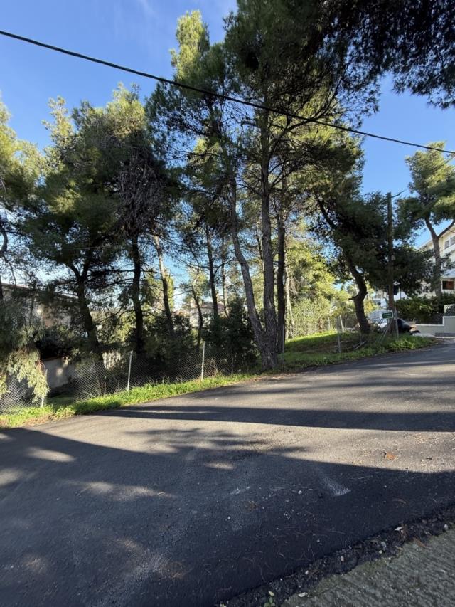 (Προς Πώληση) Αξιοποιήσιμη Γη Οικόπεδο || Ανατολική Αττική/Διόνυσος - 780 τ.μ, 260.000€ 