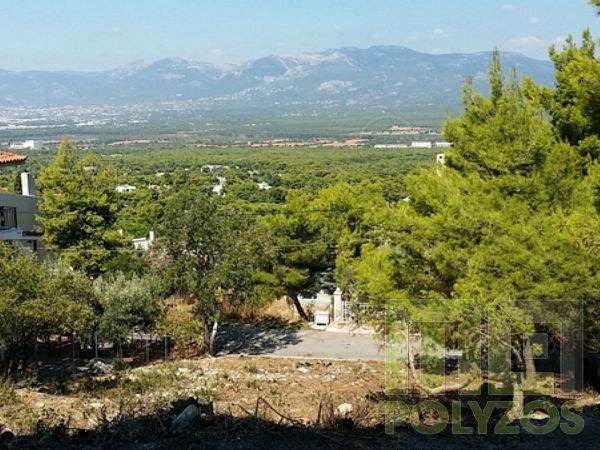 (For Sale) Land Plot || Athens North/Ekali - 850Sq.m, 750.000€ 