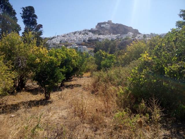 (For Sale) Land Agricultural Land  || Evoia/Skyros - 500 Sq.m, 8.000€ 